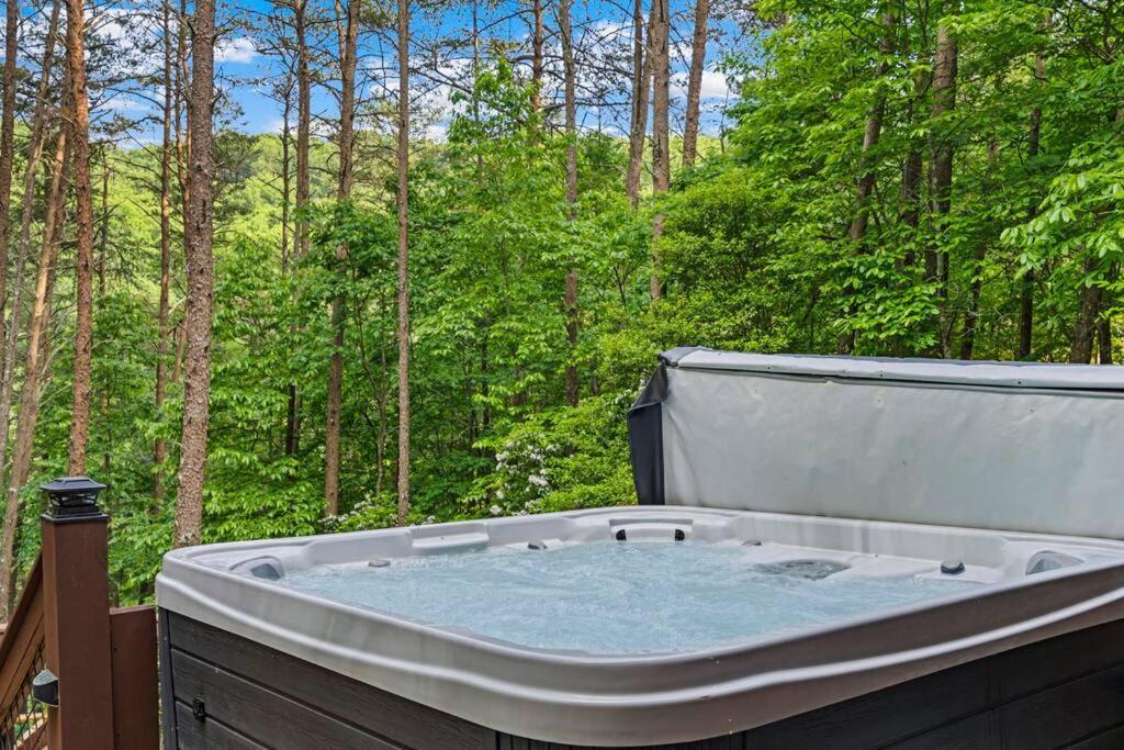 Lakeside Retreat Hot Tub Fishing Hiking Ellijay Exterior photo